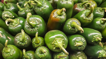 Rows of organic Jalapeno peppers