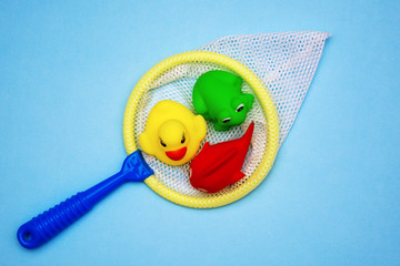 rubber bathing toys are caught in a bite
