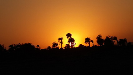 Fototapeta na wymiar Silhouette at sunset