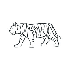 Outline draw tiger