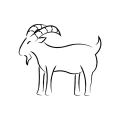 Outline draw goat