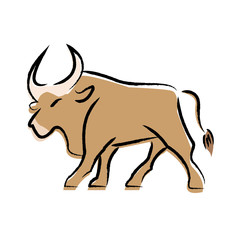 Outline draw bull