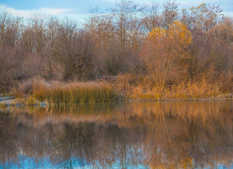 Morning on the river