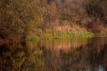 Morning on the river