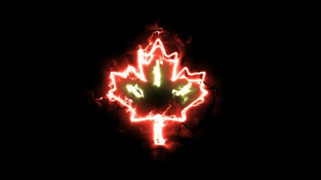 Intro maple leaf. Animation of the sign in the energy aura
