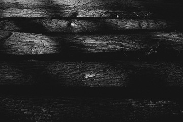 Waldcamp naturschutz