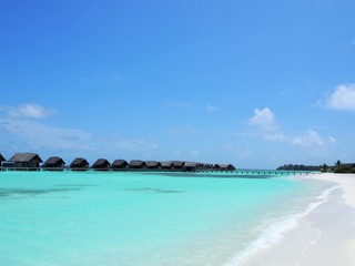 Fototapeta premium the beach in Maldives