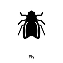 Fly icon vector isolated on white background, logo concept of Fly sign on transparent background, black filled symbol