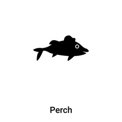 Perch icon vector isolated on white background, logo concept of Perch sign on transparent background, black filled symbol