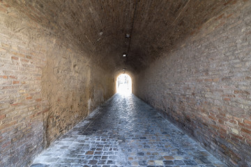 Obraz premium antique entrance door, wood and metal and window