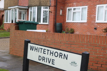Whitethorn Drive by JerkovicK