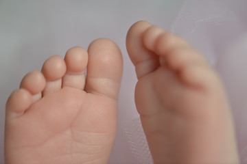 Tiny feet of a newborn baby girl on a pink background.