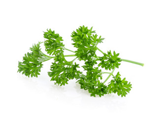 parsley isolated on white background