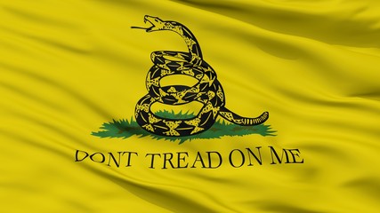 Gadsden Flag Closeup View, 3D Rendering