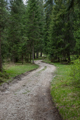 Fototapeta premium Dolomites Italy, nature and landscape