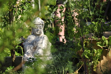 Fototapeta na wymiar Buddha in the Garden