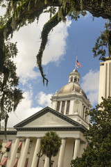 Fototapeta premium Moss Grows on Trees Framing the Capital Building in Tallahasse Florida