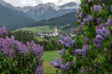 Dolomites Italy, nature and landscape