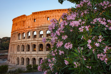 Obraz premium Flowers in front of the Colosseum in Rome