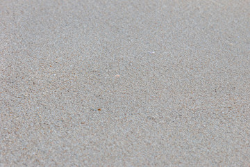 Top view of sand texture. Sandy beach for background.