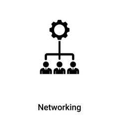 Networking icon vector isolated on white background, logo concept of Networking sign on transparent background, black filled symbol