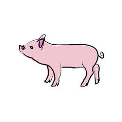 Outline draw pig