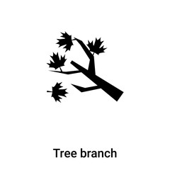 Tree branch icon vector isolated on white background, logo concept of Tree branch sign on transparent background, black filled symbol