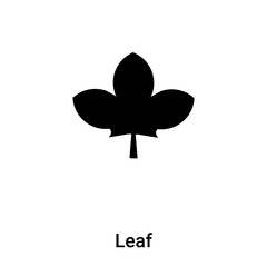 Leaf icon vector isolated on white background, logo concept of Leaf sign on transparent background, black filled symbol