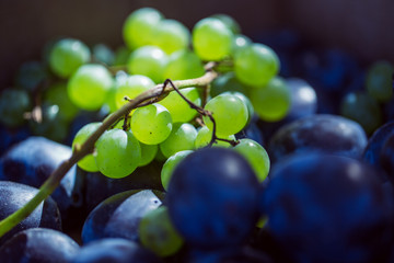 Grapes