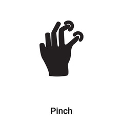 Pinch icon vector isolated on white background, logo concept of Pinch sign on transparent background, black filled symbol