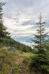 Dolomites Italy, nature and landscape