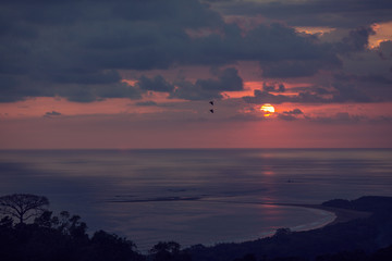 Sunset Birds in Flight