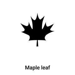 Maple leaf icon vector isolated on white background, logo concept of Maple leaf sign on transparent background, black filled symbol