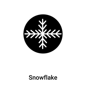 Snowflake icon vector isolated on white background, logo concept of Snowflake sign on transparent background, black filled symbol