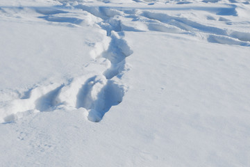 Footprints in the snow. Snow background.