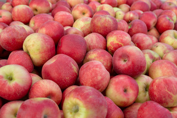 Fresh Organic Apples