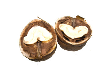 walnut isolated on white background