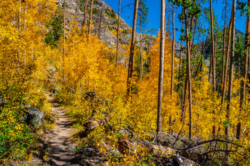 Beautiful Fall Hike in Aspens in Grand Lake, Colorado