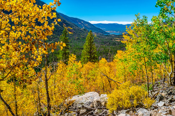 Beautiful Fall Hike in Aspens in Grand Lake, Colorado