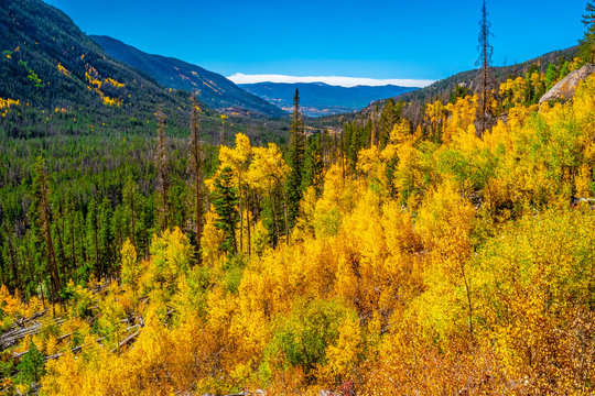 Beautiful Fall Hike in Aspens in Grand Lake, Colorado © Jeremy Janus