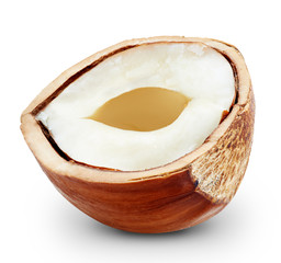 Hazelnut isolated Clipping Path