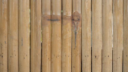 bamboo close up background or texture