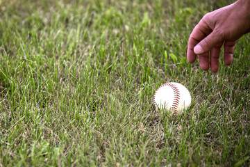 A close up of a hand reaching for a baseball laying in green summer grass
