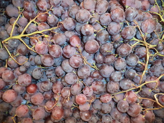 new harvest of fresh grapes