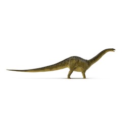 Apatosaurus Dinosaur model on white. Side view. 3D illustration