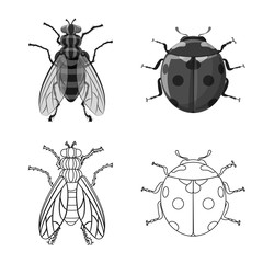 Vector design of insect and fly sign. Set of insect and element stock symbol for web.