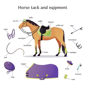 Horse Tack Images Browse 18 599 Stock Photos Vectors and Video Adobe Stock