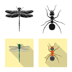 Vector illustration of insect and fly icon. Set of insect and element stock vector illustration.