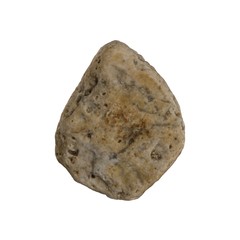 Small Sea Rock with Holes on white. 3D illustration