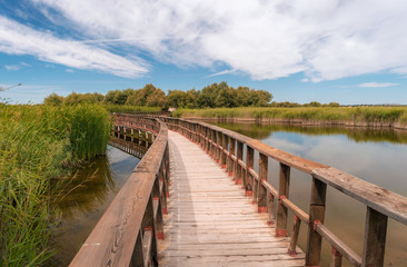 Obraz premium Paisaje en el Parque Nacional Tablas de Daimiel. Ciudad Real. España.